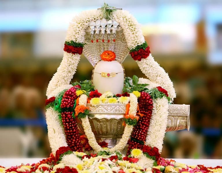 Vedic Ashirvaad Ritual